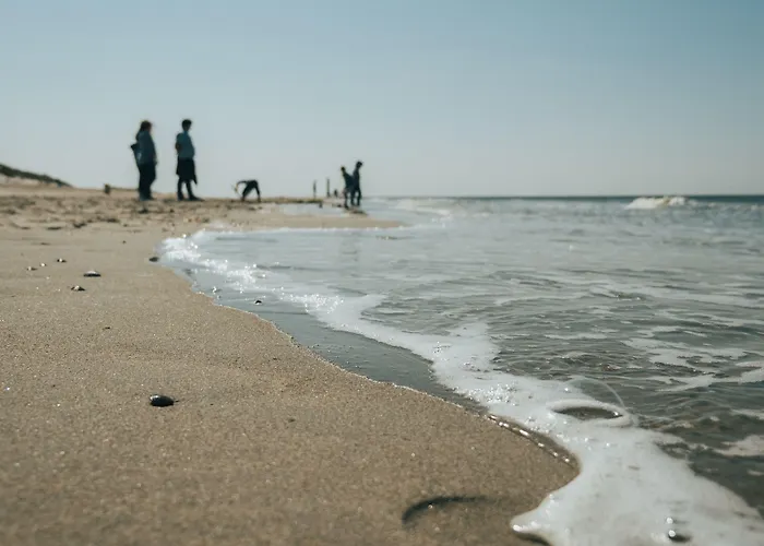 Ridderstee Duin 4* 奥德多普