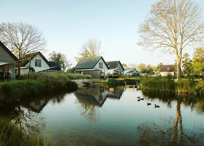 Ridderstee Duin Vakantiepark Ouddorp