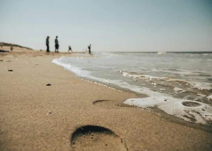 Ridderstee Duin Πάρκο διακοπών